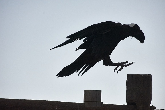 dsc 0606 38773840364 o