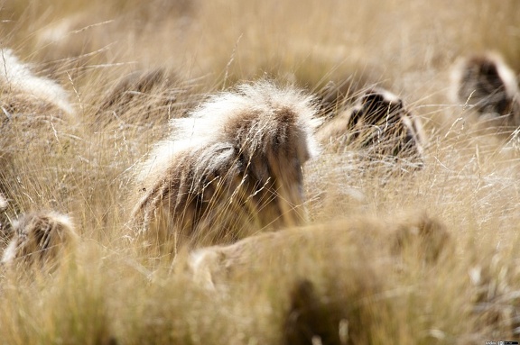 dsc 0743 27705725449 o