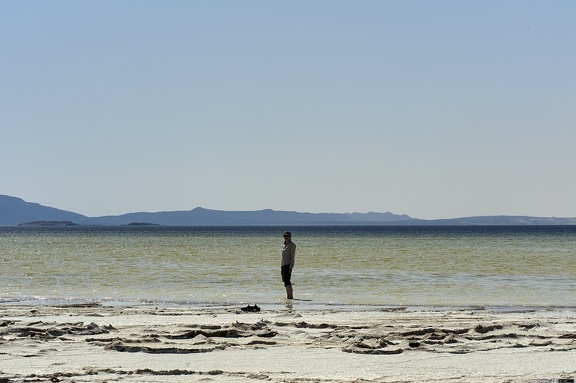 dsc 1308 27705730369 o