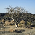 dsc 1423 39452031222 o