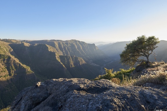 dsc 1942 39452029932 o