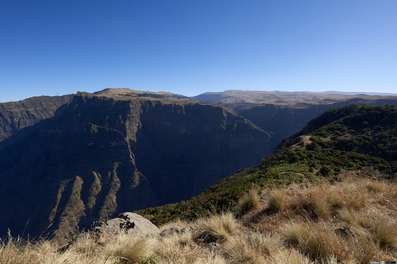 dsc 2111 39452030282 o