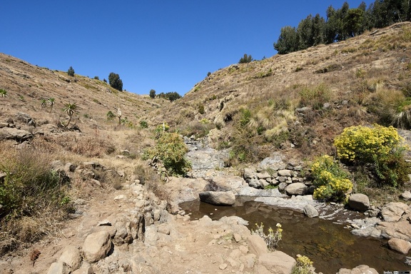 dsc 2325 39452030852 o