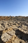 dsc 2987 38773846094 o