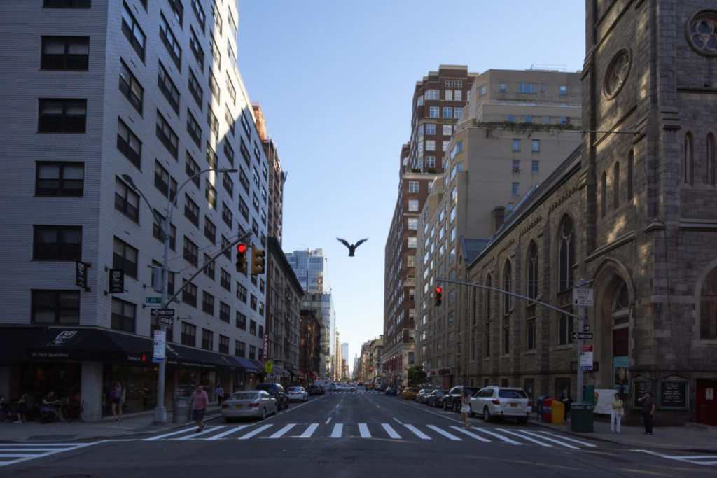 NYC Street Ted Matherly