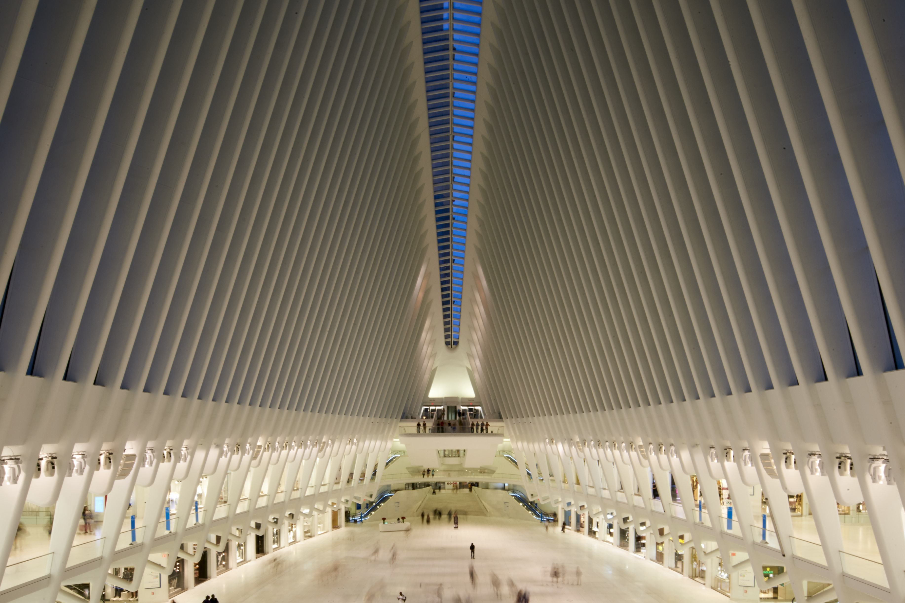 Oculus (Interior) Ted Matherly