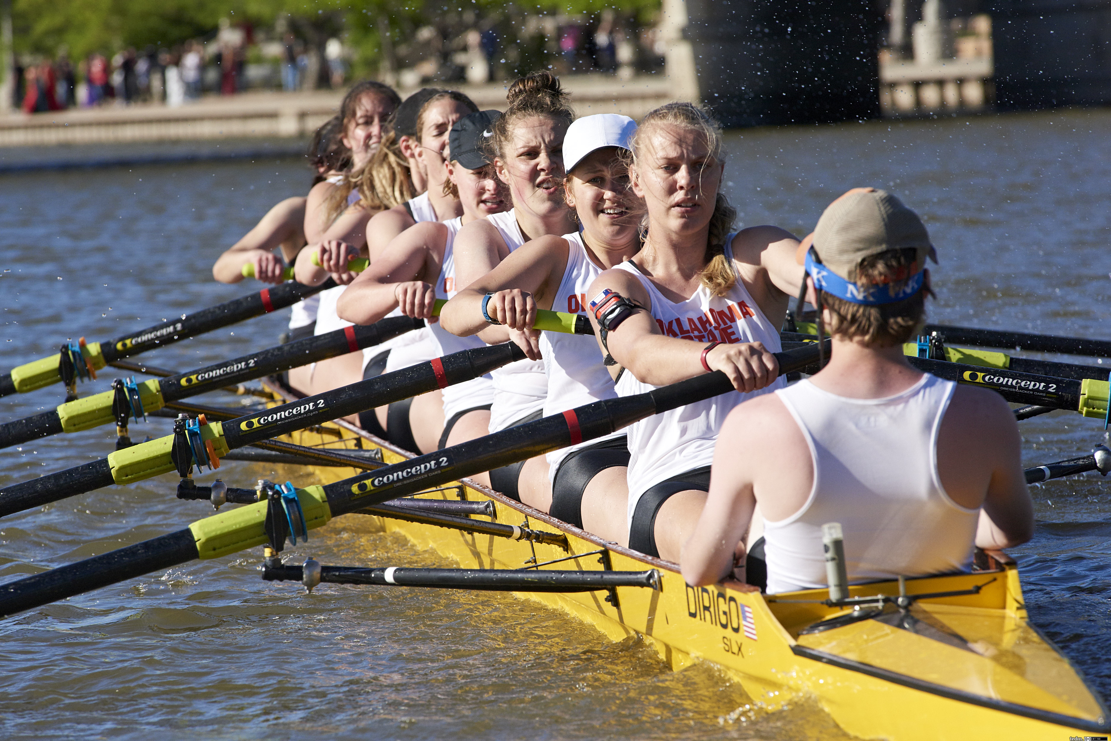 Rowing Ted Matherly